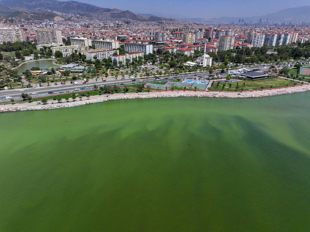 İzmir’de denizin rengi değişti! Görüntü ne ifade ediyor? 17